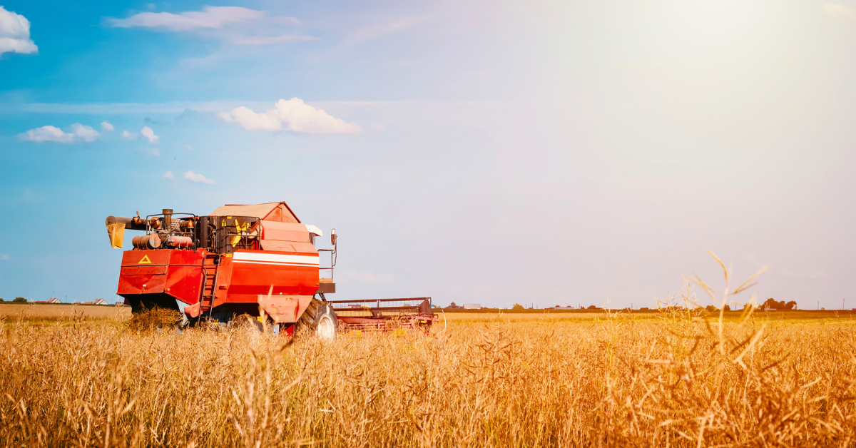 A combine in a wheat field. Miro manufactures components for agricultural equipment.